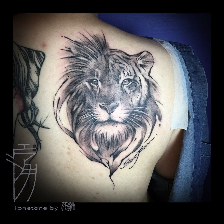 Half Lion Half Tiger Sakura1690 Lion Tattoo Drawing Lioness regarding size 894 X 894
