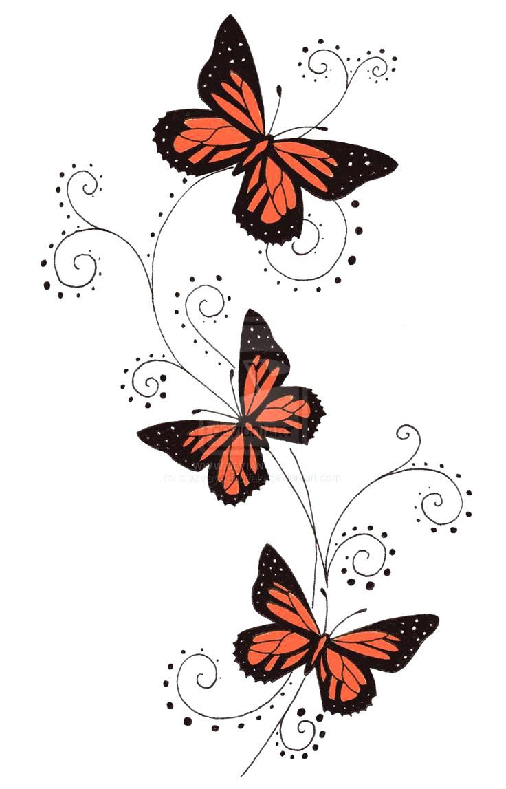 Красивые узоры бабочки
