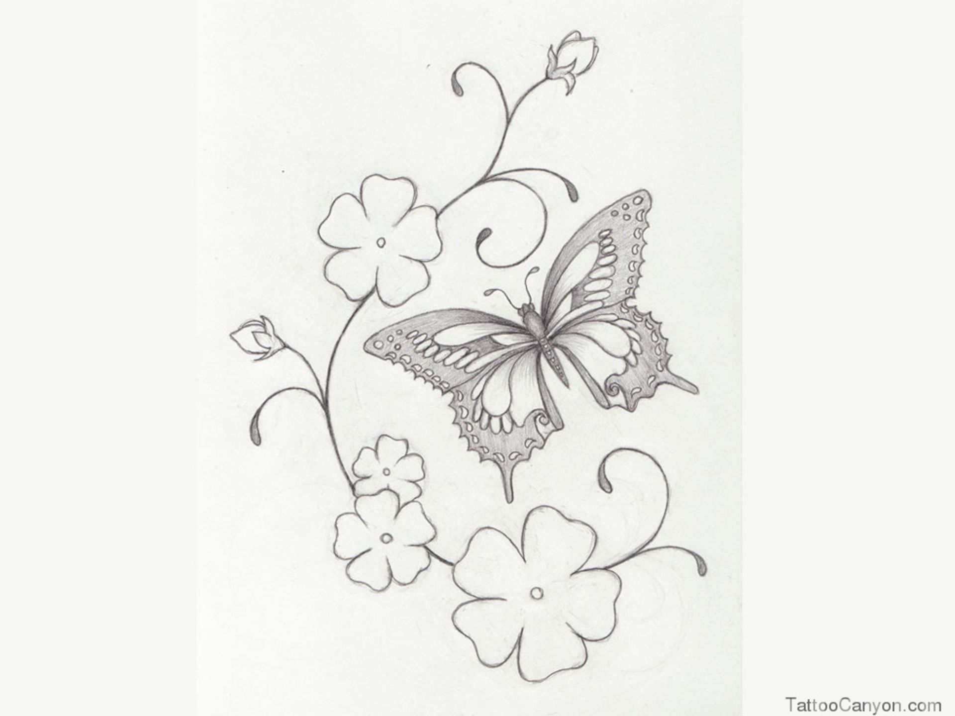Japanese Cherry Blossom Drawing Tattoo Free Designs Cherry Blossom in sizing 1920 X 1440