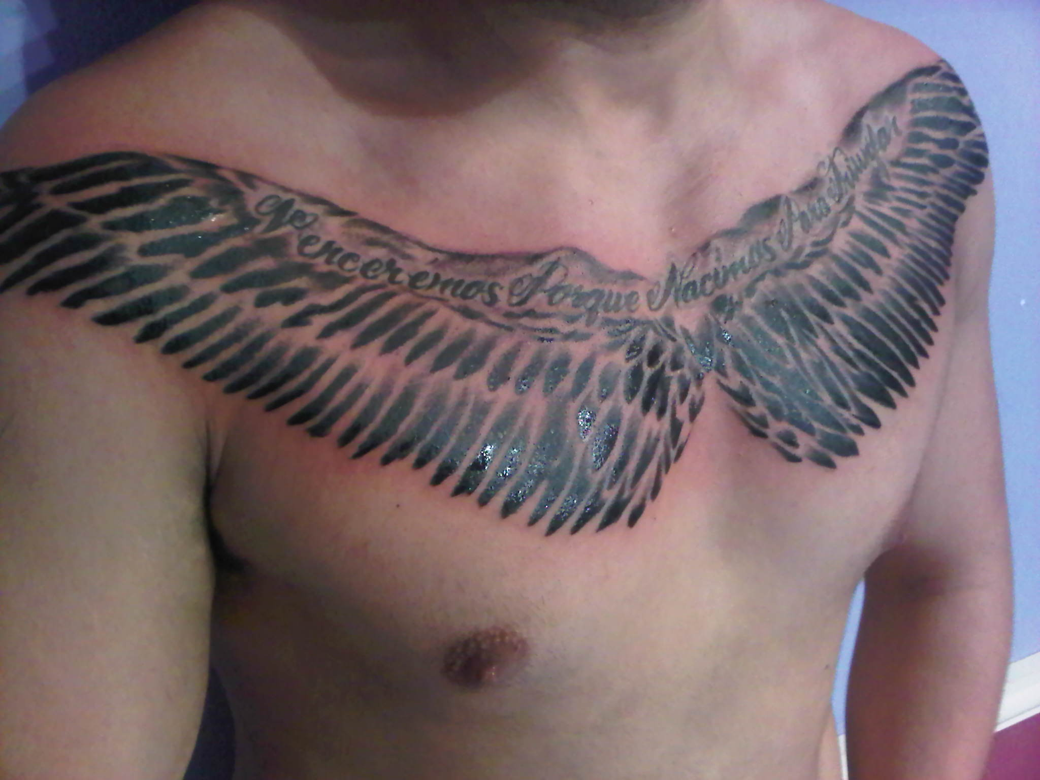 Ladies Angel Wing Tattoos Across The Chest Design Idea throughout measurements 2048 X 1536