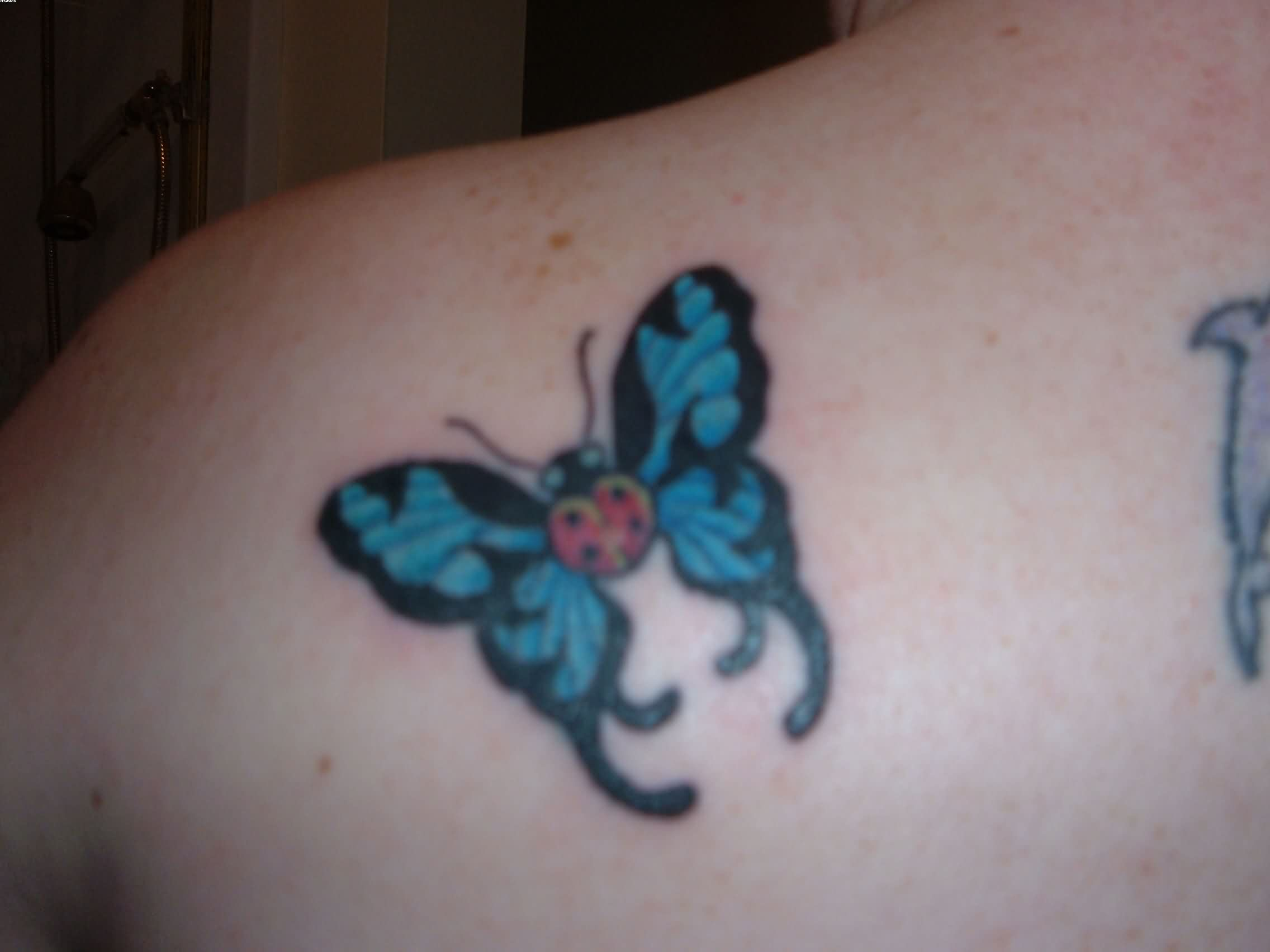 Ladybug Butterfly Tattoo On Back Tattoo Ideas throughout dimensions 2272 X 1704