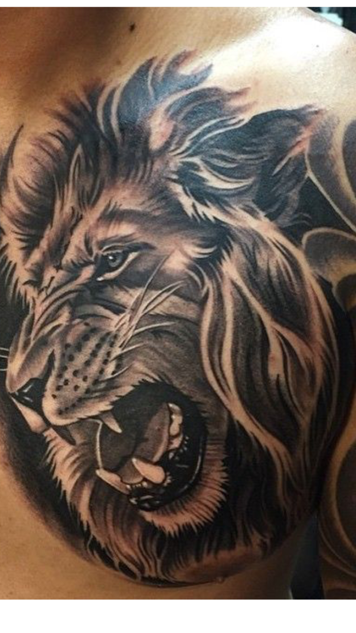 Leo Tattoo Design Idea Lions Tattoos Chest Tattoo Lion Chest with sizing 1242 X 2208