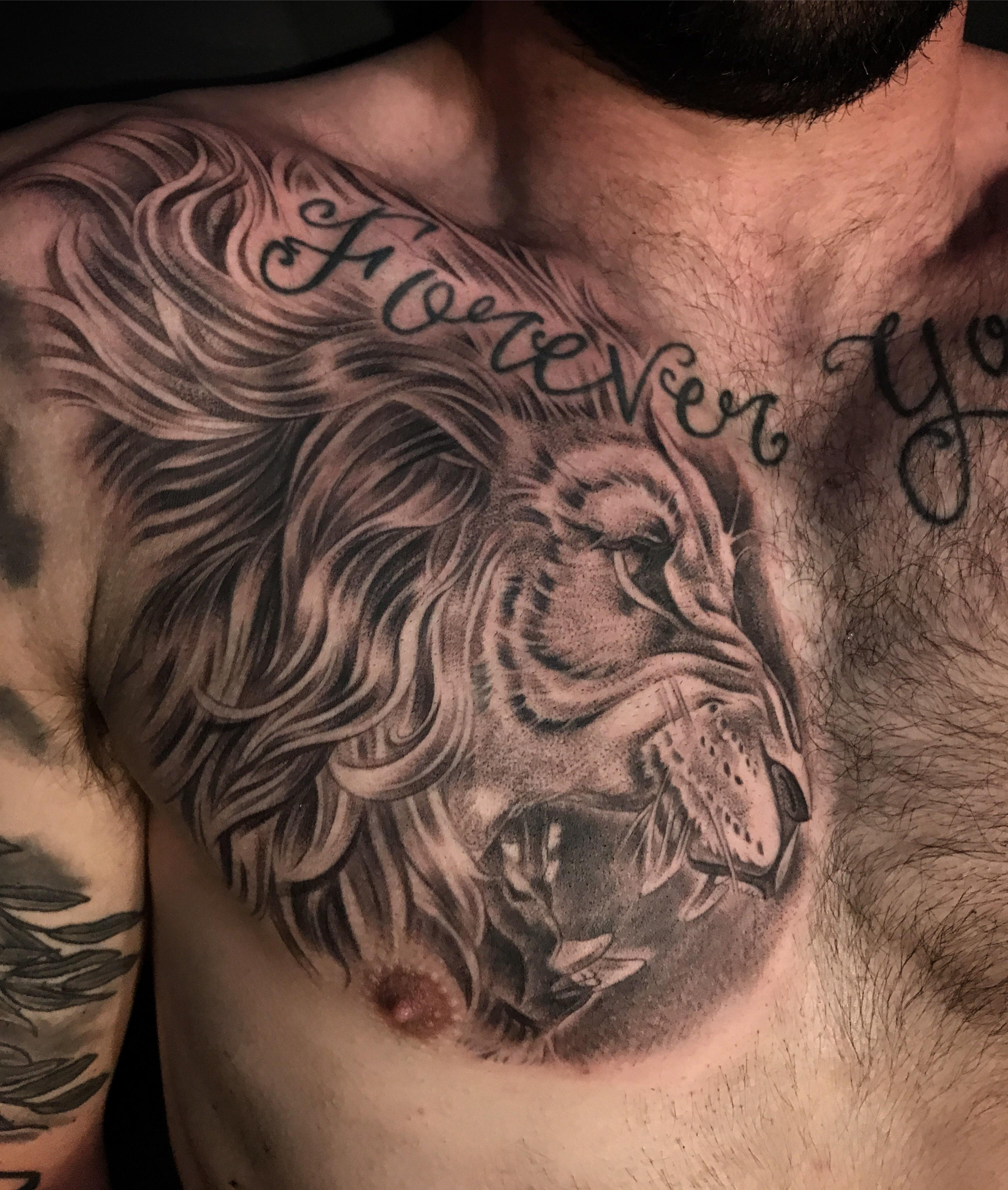 Lion Chest Piece Justin Villalobos In Orange County California within measurements 3024 X 3571