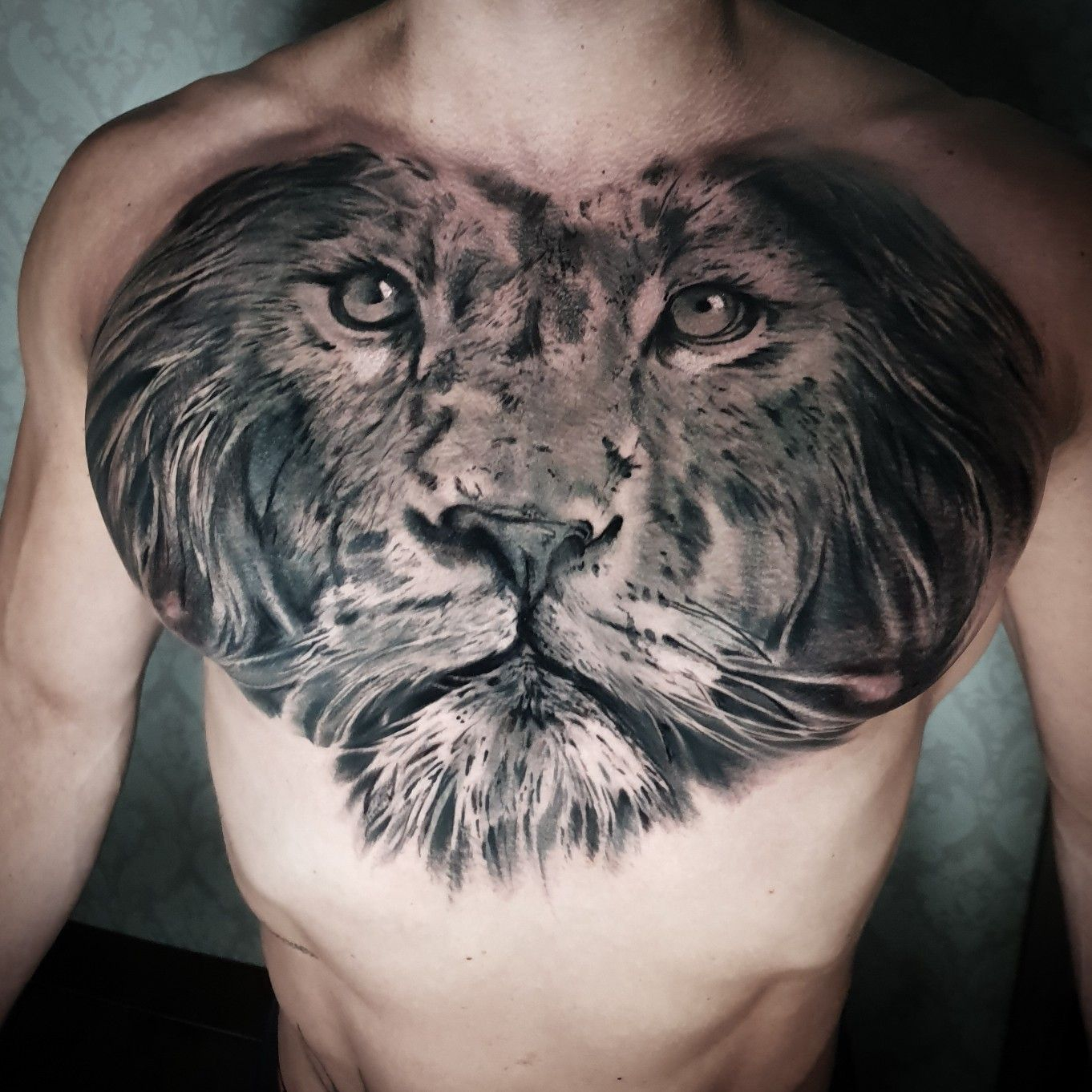 Lion Portrait On Chest Tattoo Chest Tattoo Tattoos Tattoo throughout size 1362 X 1362