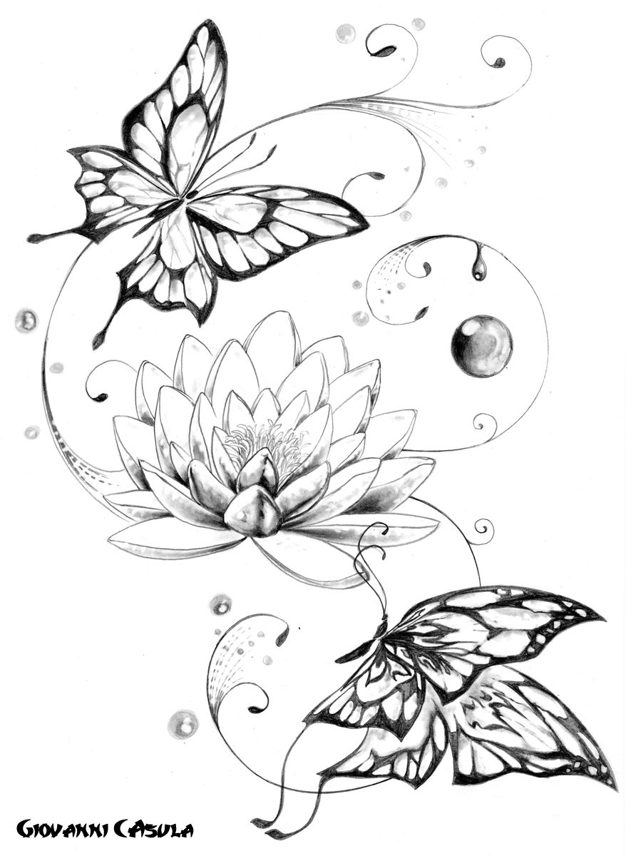 Lotus Flower Butterfly Tattoo Google Search Maybe Butterfly in proportions 878 X 1200