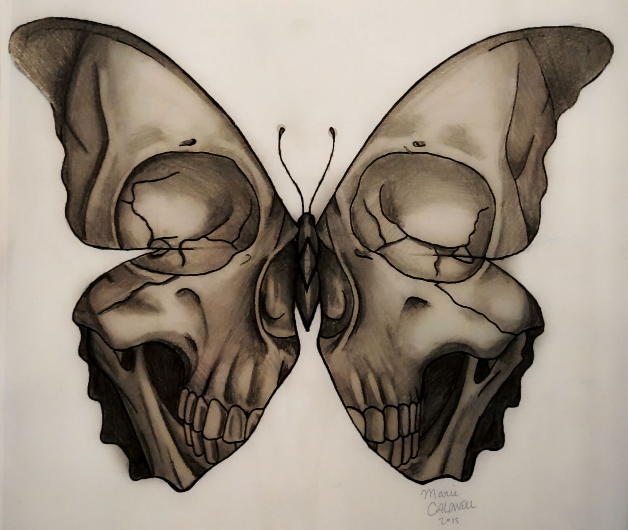 Medusa Illustration Skull Butterfly Tattoo Design Marie Caldwell for measurements 1280 X 1080