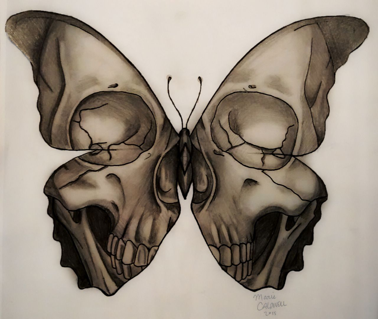 Medusa Illustration Skull Butterfly Tattoo Design Marie Caldwell for size 1280 X 1080