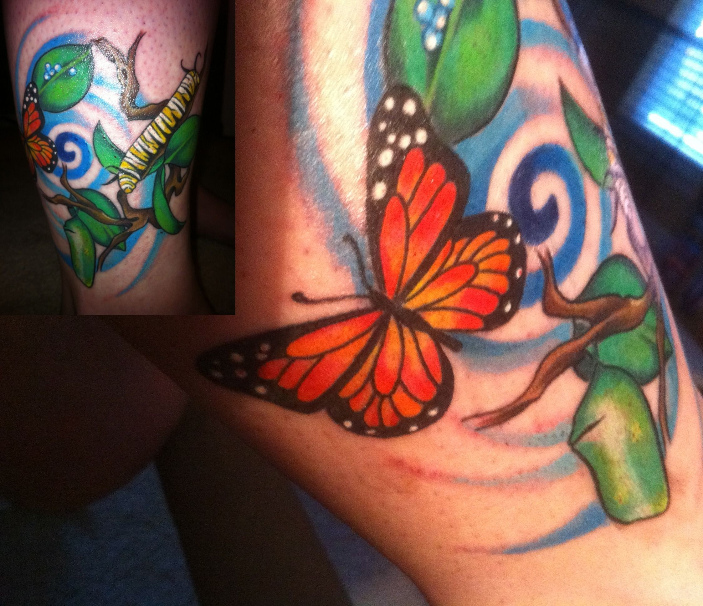 My Butterfly Life Cycle Tattoo Just When The Caterpillar Though intended for sizing 2246 X 1936