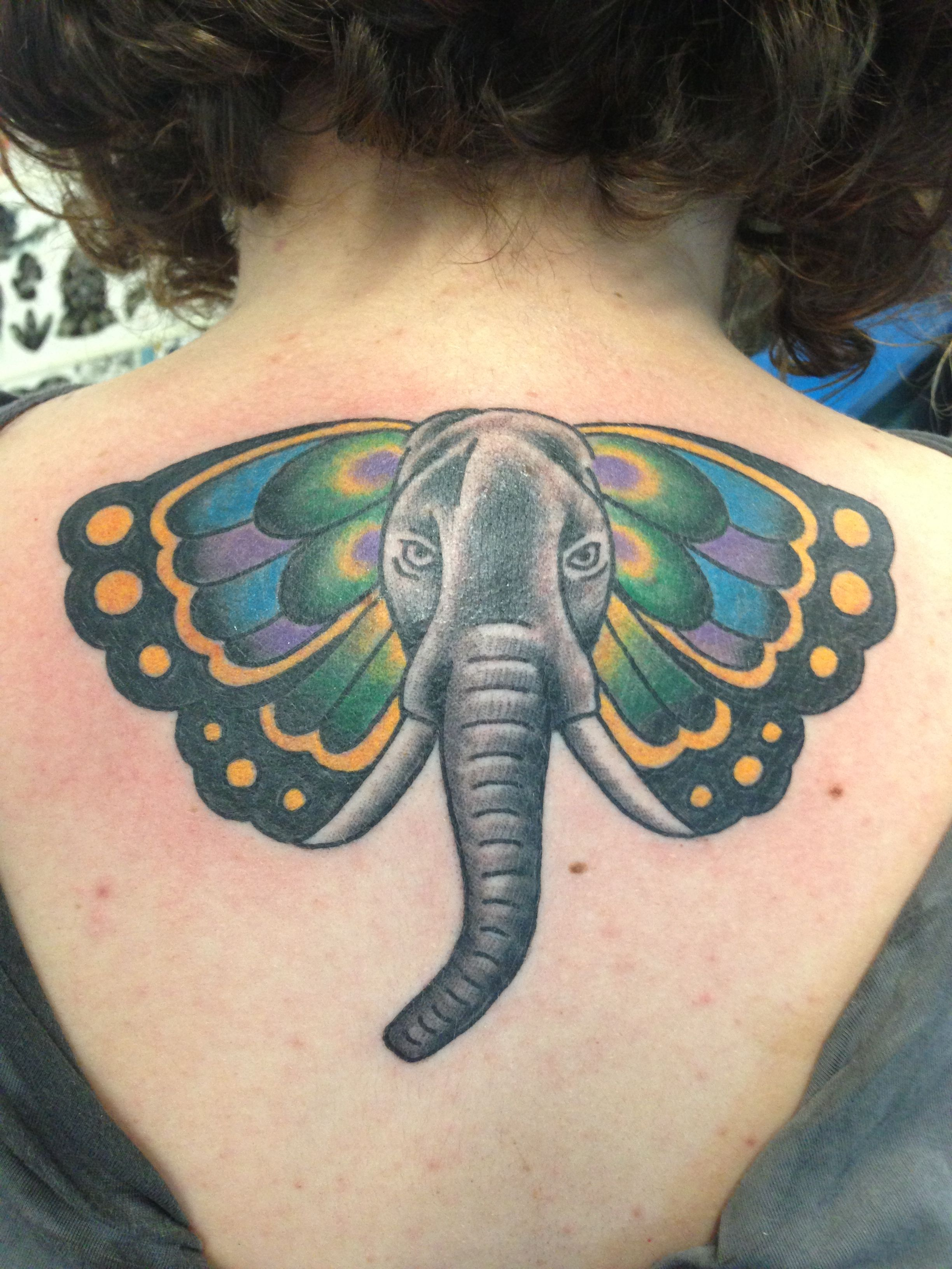 My Elephantbutterfly Tattoo Done In Austin Texas At True Blue intended for sizing 2448 X 3264