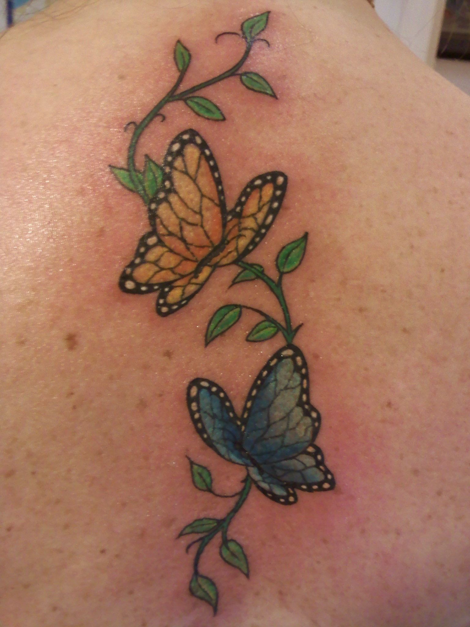 My Gemini Butterfly Tattoo Tattoos Tattoos Love Tattoos Butterfly intended for proportions 1536 X 2048