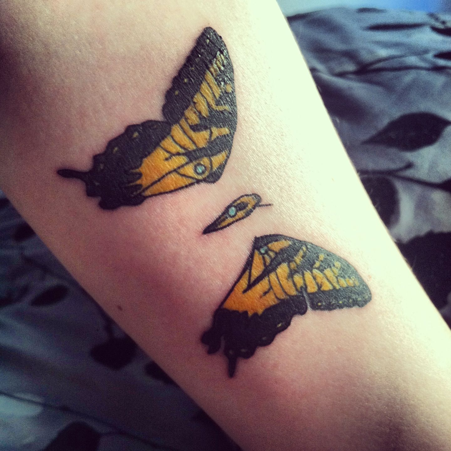 My Second Tattoo Paramore Butterfly Brandneweyes Tattoos within sizing 1440 X 1440