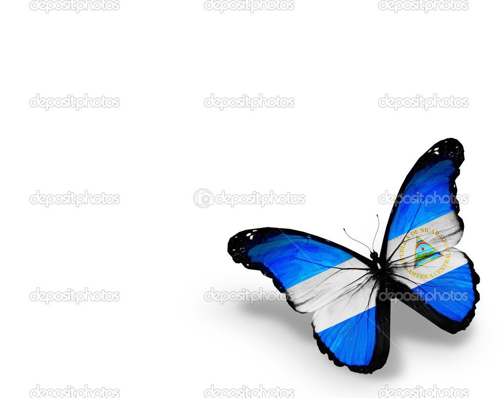 Nicaragua Flag Butterfly Isolated On White Background Stock for sizing 1024 X 819