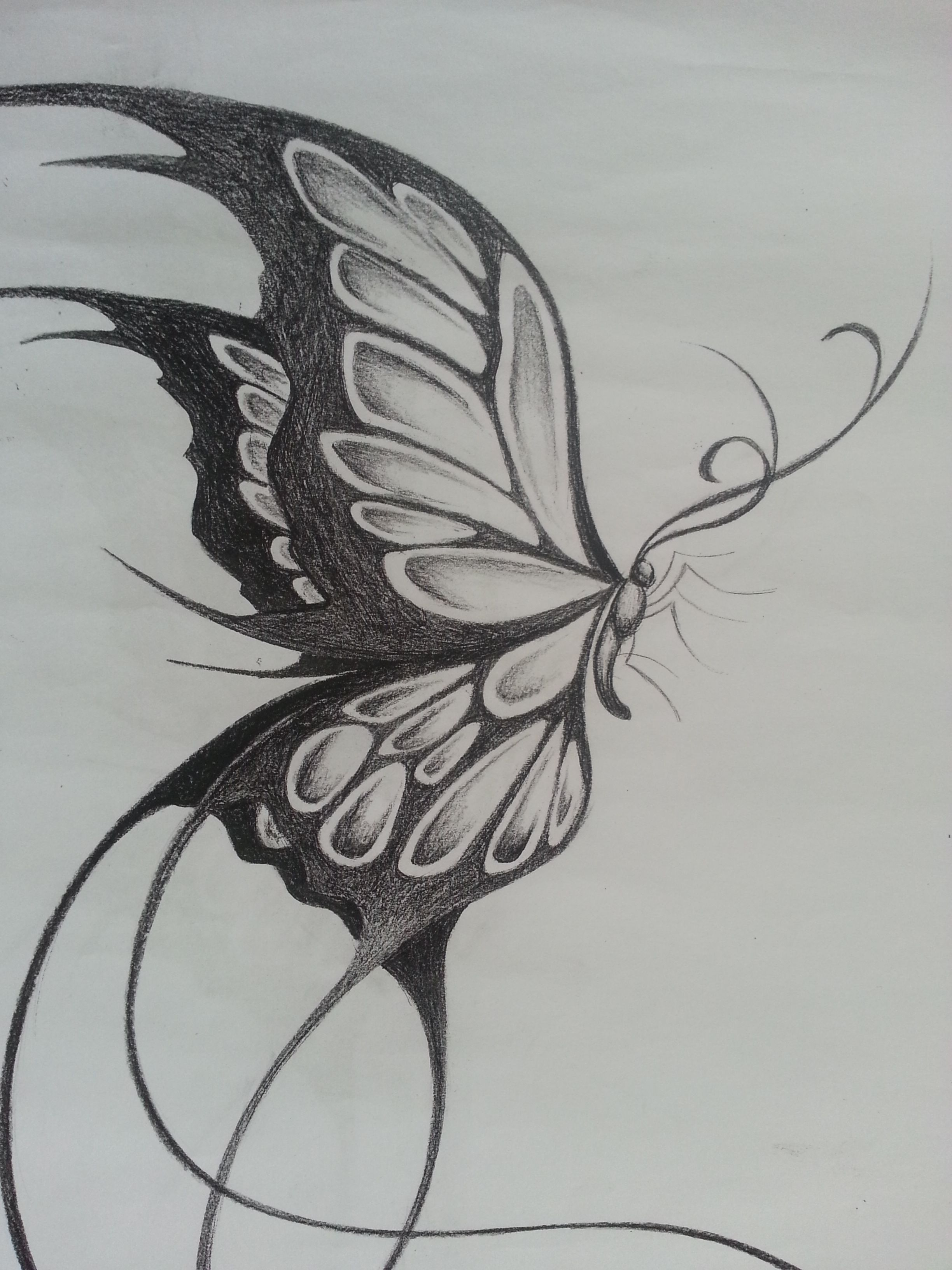 Original Design Of A Large Butterfly Things I Like In 2019 for sizing 2448 X 3264