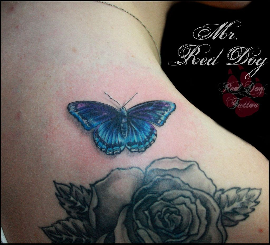 Pics Photos Black Rose And Butterfly Tattoo Original Picture with dimensions 1024 X 931