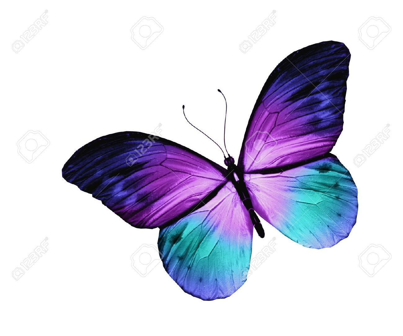 Pin Kelly Martino On Tattoos Purple Butterfly Tattoo inside dimensions 1300 X 1085