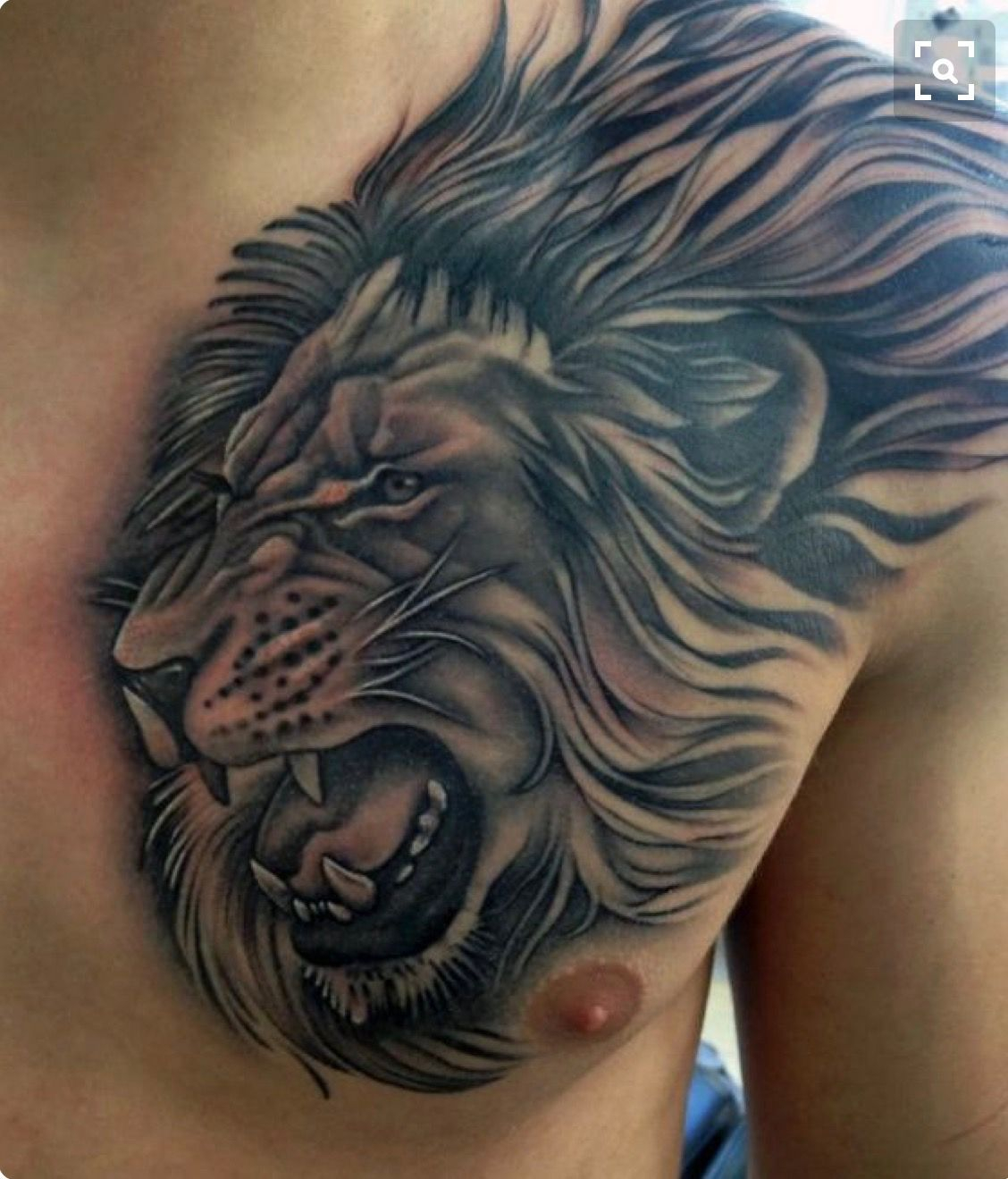 Pin Rodney Grabenhorst On Tattoos Lion Chest Tattoo Lion with regard to dimensions 1128 X 1319