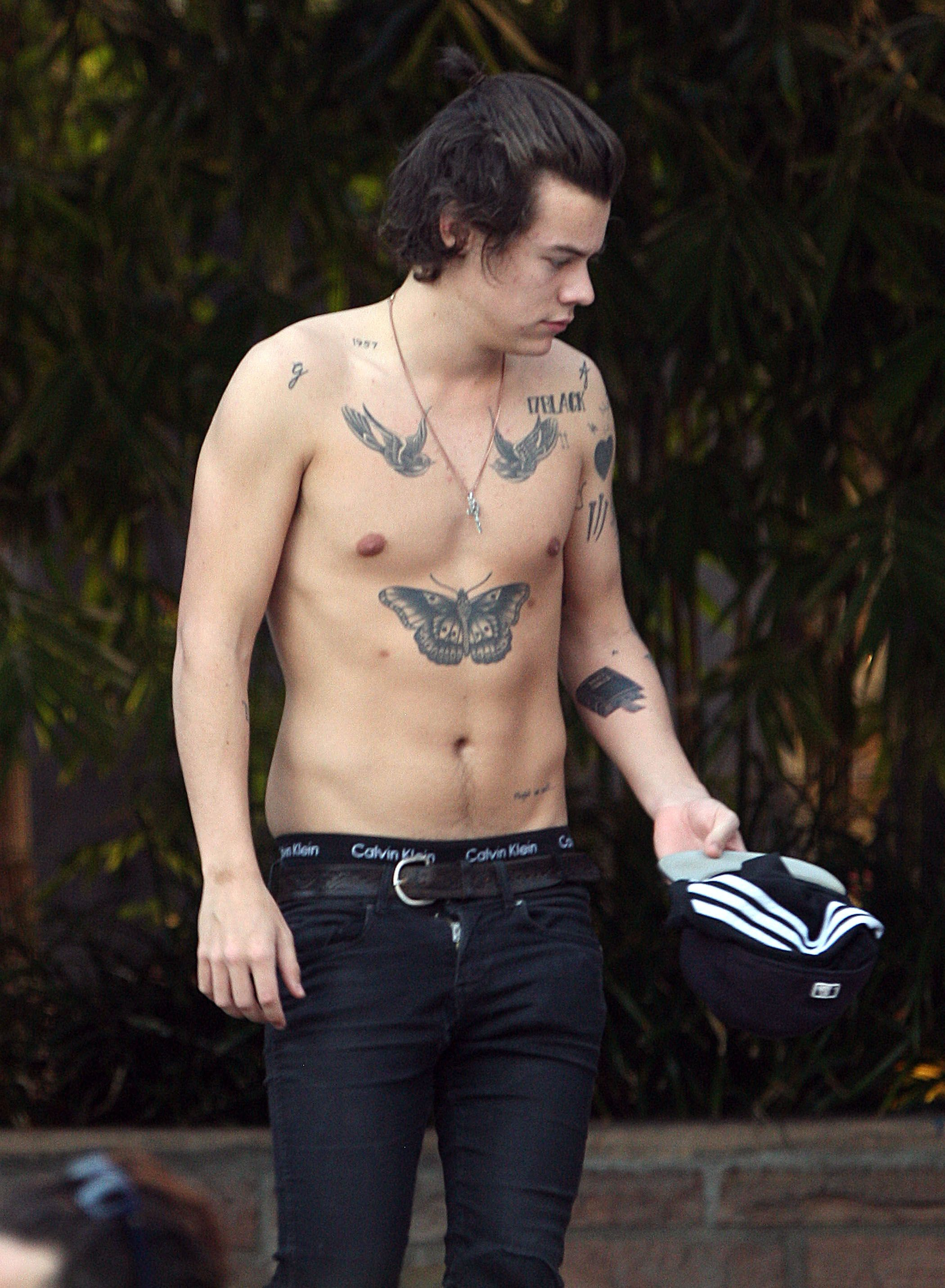 Pin Stylesorama On 1d Harry Styles Love Handles Harry Styles for size 2100 X 2863