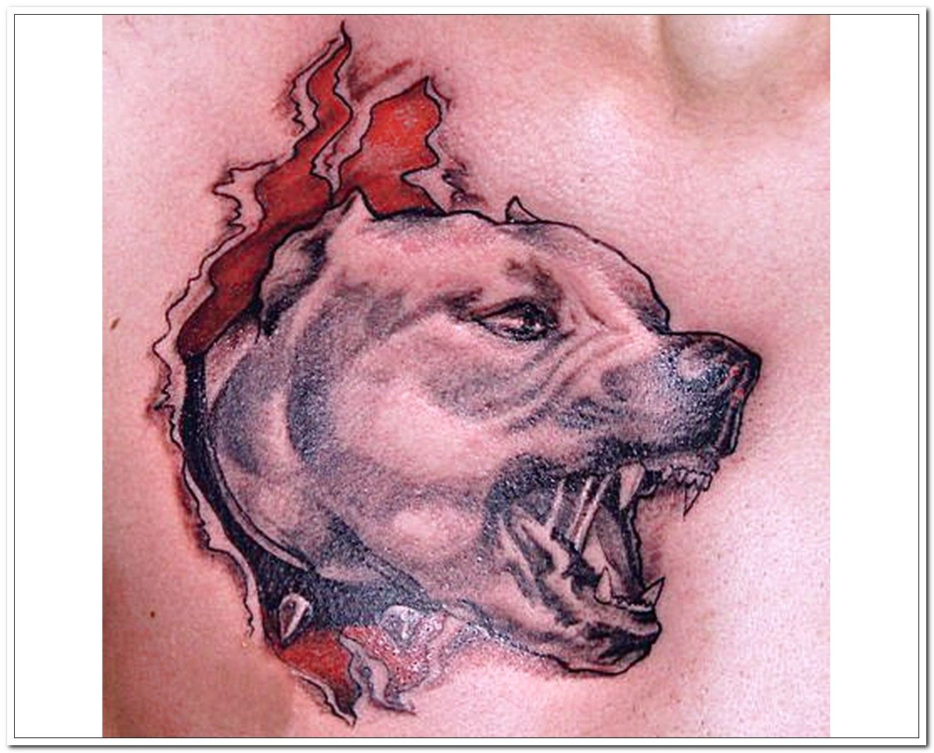 Pitbull Tattoo Designs Wallpaper Tattoos Dog Tattoos Tattoos pertaining to sizing 1323 X 1067