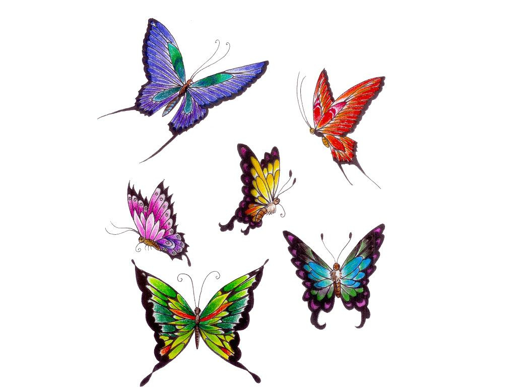 Printable Butterfly Tattoo Designs Tattoos Butterfly Tattoo with proportions 1024 X 768