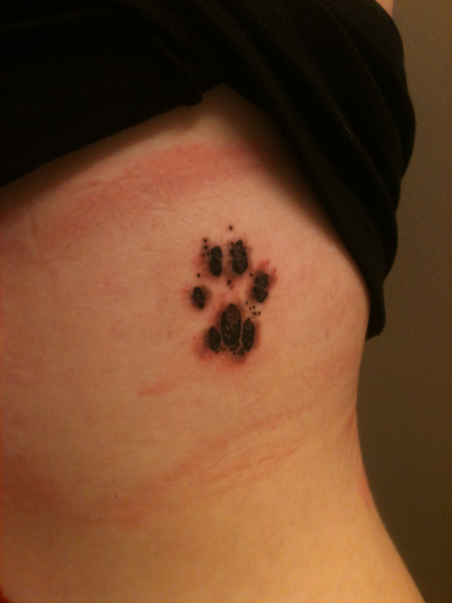 Real Cat Paw Print Tattoo Inked From My Beloved Zeus After 19 Long inside measurements 1536 X 2048
