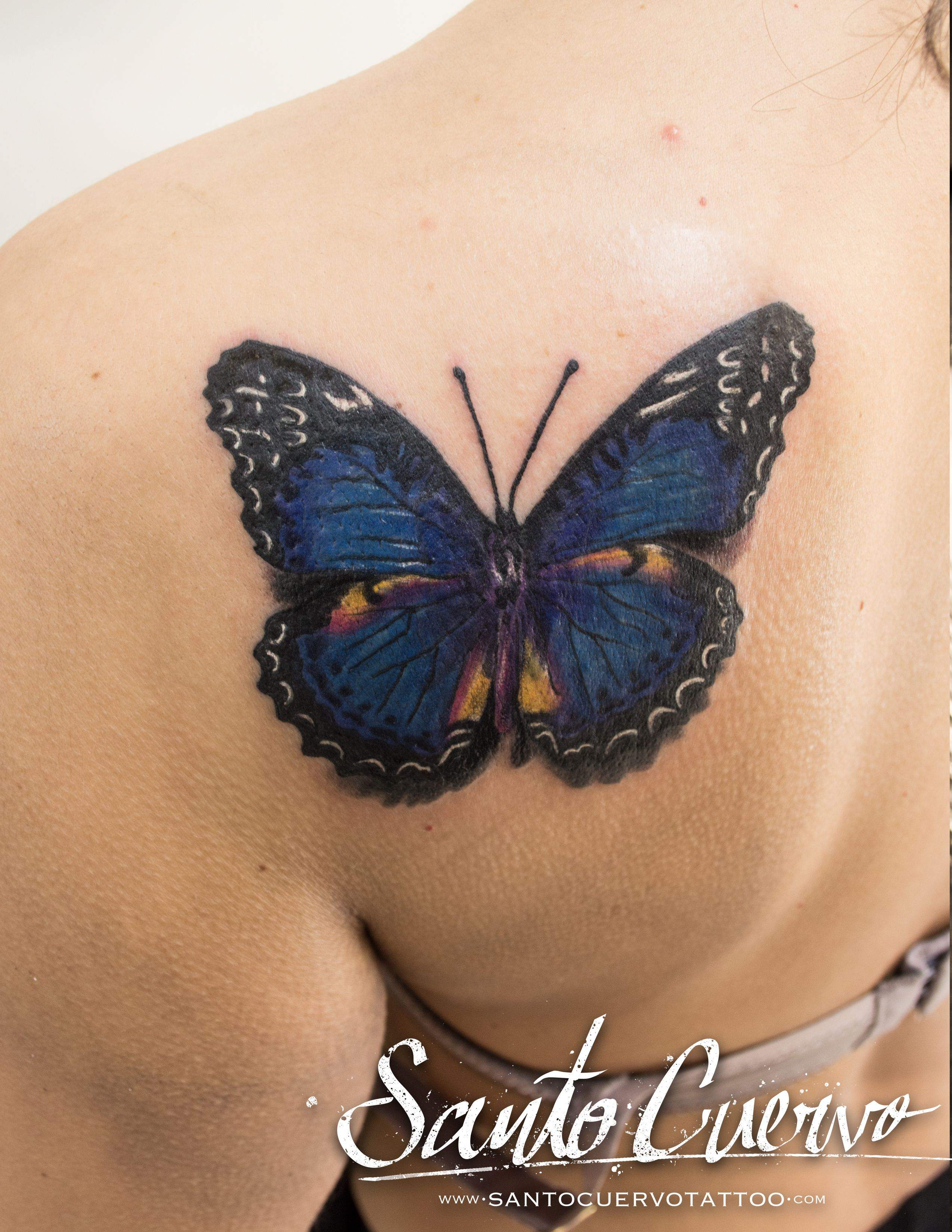 Realism Blue Butterfly Tattoo Alex Alvarado Vegan Friendly within measurements 2550 X 3300