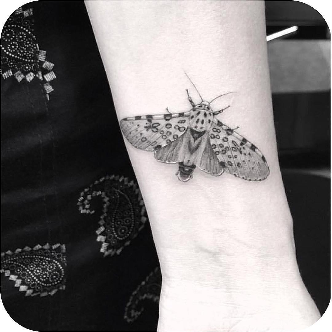 Realistic Butterfly Tattoo Best Tattoo Ideas Gallery with regard to measurements 1080 X 1080