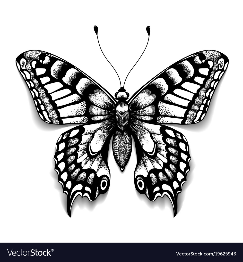 Realistic Butterfly With Shadow Tattoo Art Vector Image regarding proportions 1000 X 1080