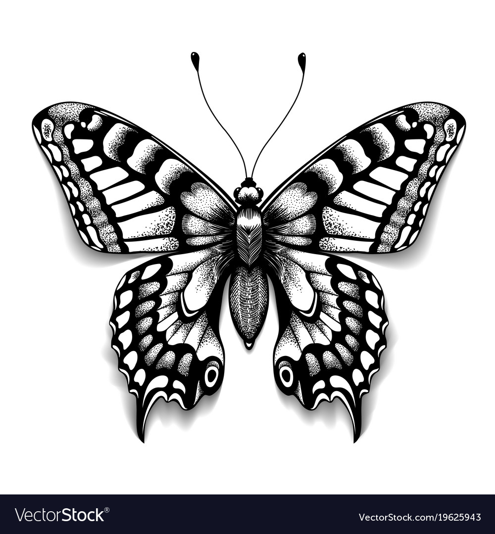 Realistic Butterfly With Shadow Tattoo Art Vector Image with regard to proportions 1000 X 1080