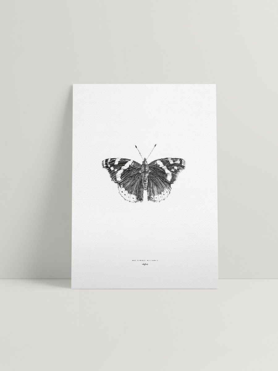 Red Admiral Butterfly Butterflies Butterfly Realistic Flower inside sizing 900 X 1200