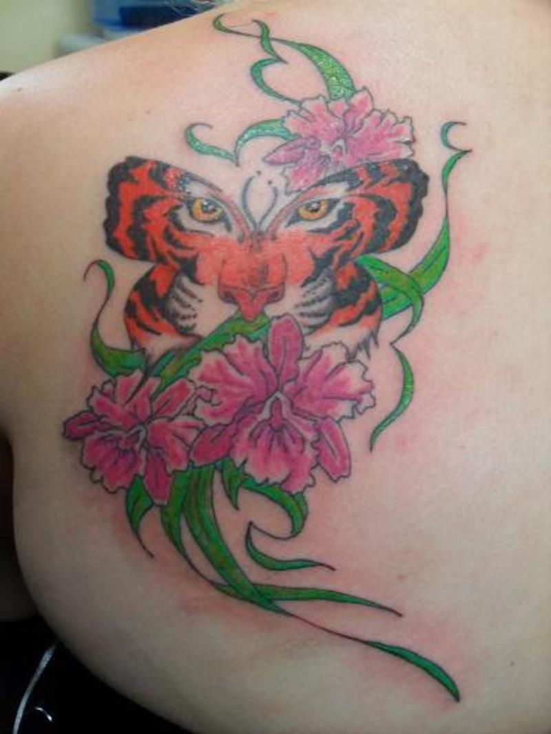 Related Image Butterflies Tiger Face Tattoo Tiger Tattoo in dimensions 800 X 1067