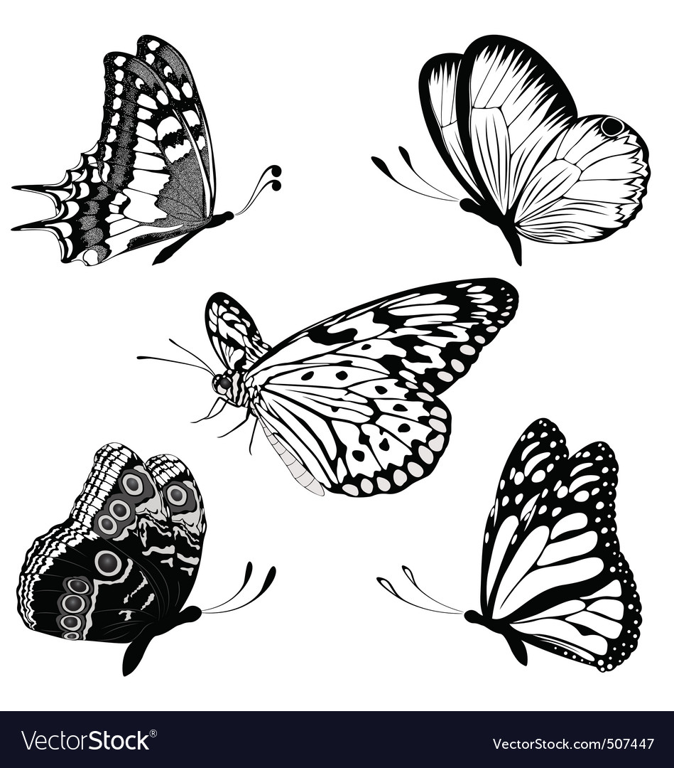 Set Black White Butterflies Of A Tattoo Royalty Free Vector inside proportions 949 X 1080