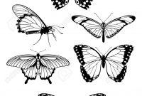 Set Of Beautiful Butterflies Tattoos Design Drawing Butterfly in sizing 1038 X 1300