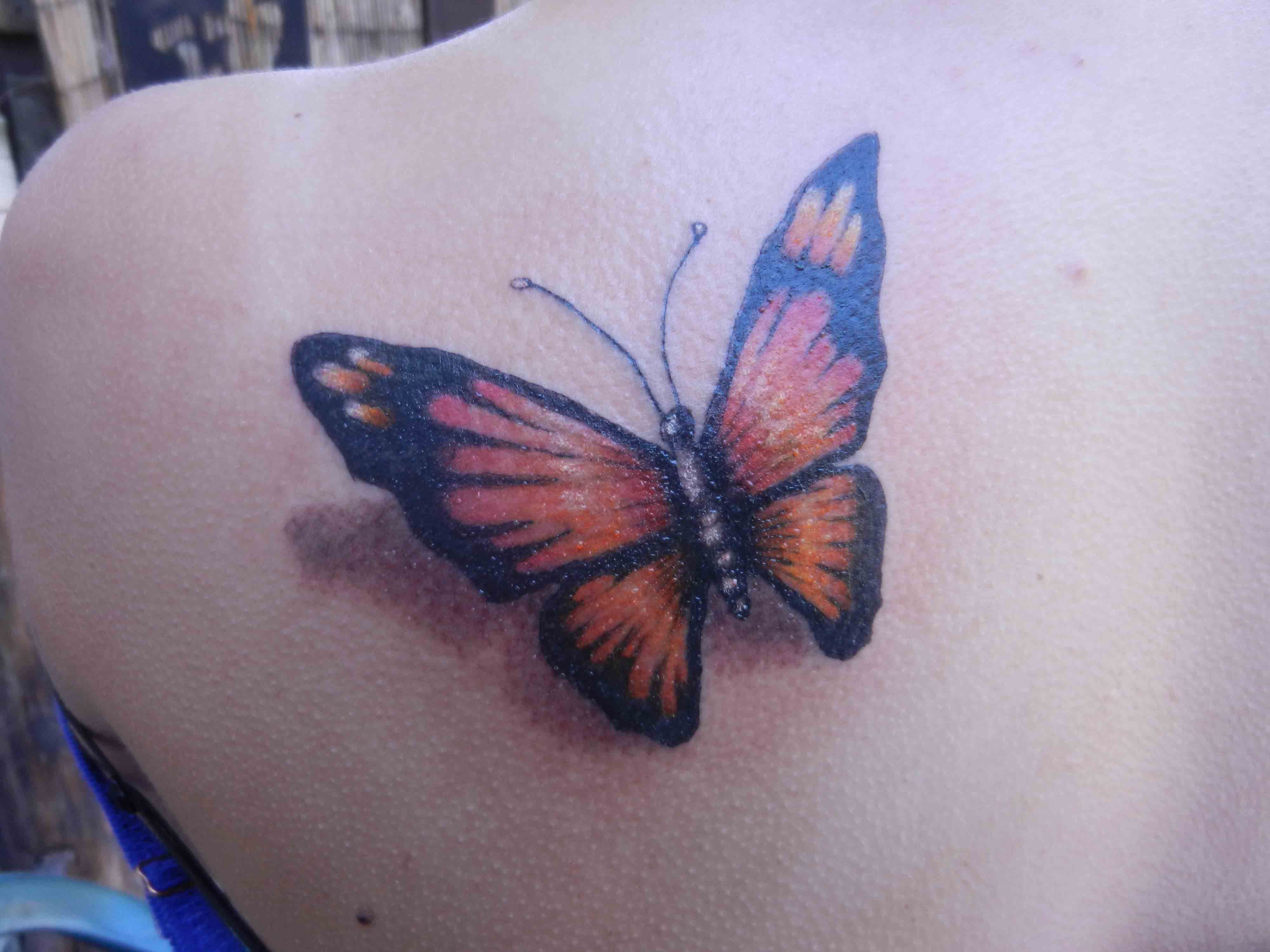 Shaded Butterfly Tattoos Bing Images Tats Butterfly Tattoo throughout proportions 4000 X 3000