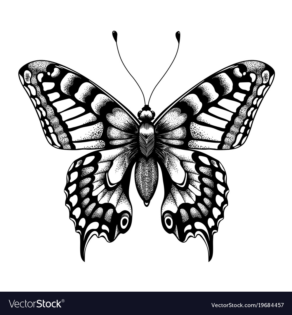 Silhouette Of Butterfly Black And White Tattoo inside dimensions 1000 X 1080