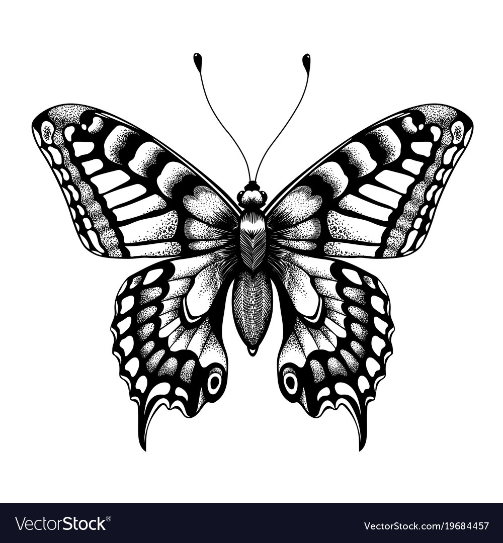 Silhouette Of Butterfly Black And White Tattoo Vector Image inside dimensions 1000 X 1080
