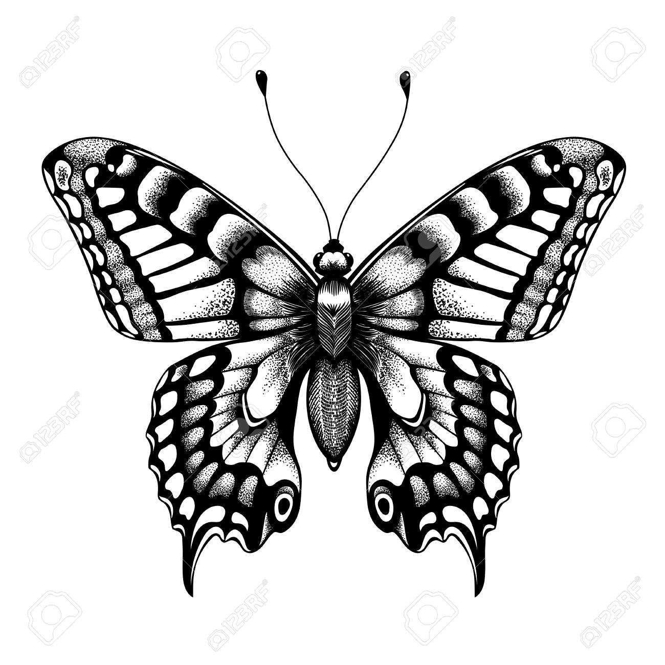 Silhouette Of Butterfly Tattoo Butterfly Isolated Vector Sketch regarding size 1300 X 1300