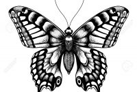 Silhouette Of Butterfly Tattoo Butterfly Isolated Vector Sketch with sizing 1300 X 1300