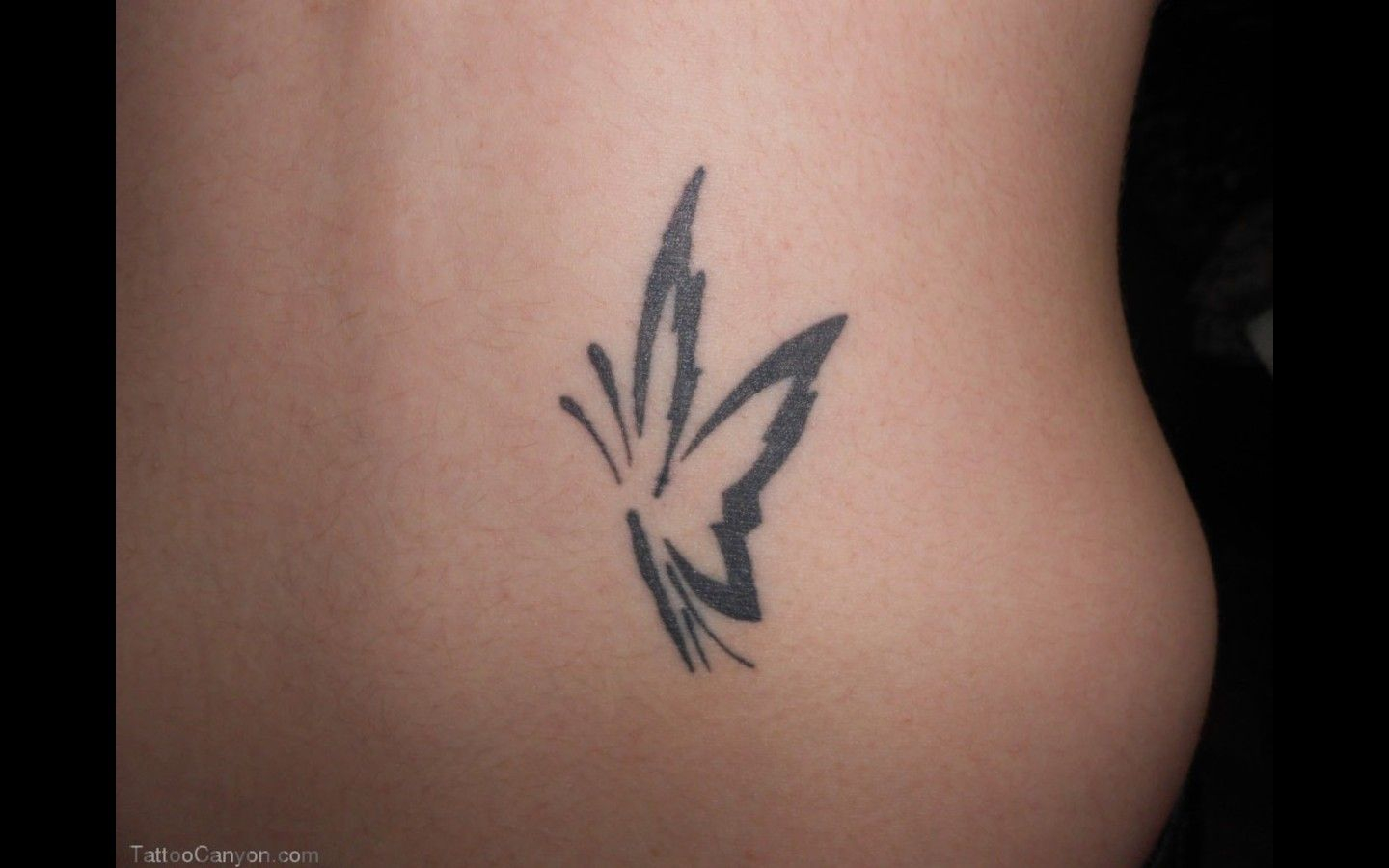 Simple Butterfly Tattoo 15718 Simple Black Butterfly Tattoos for measurements 1440 X 900