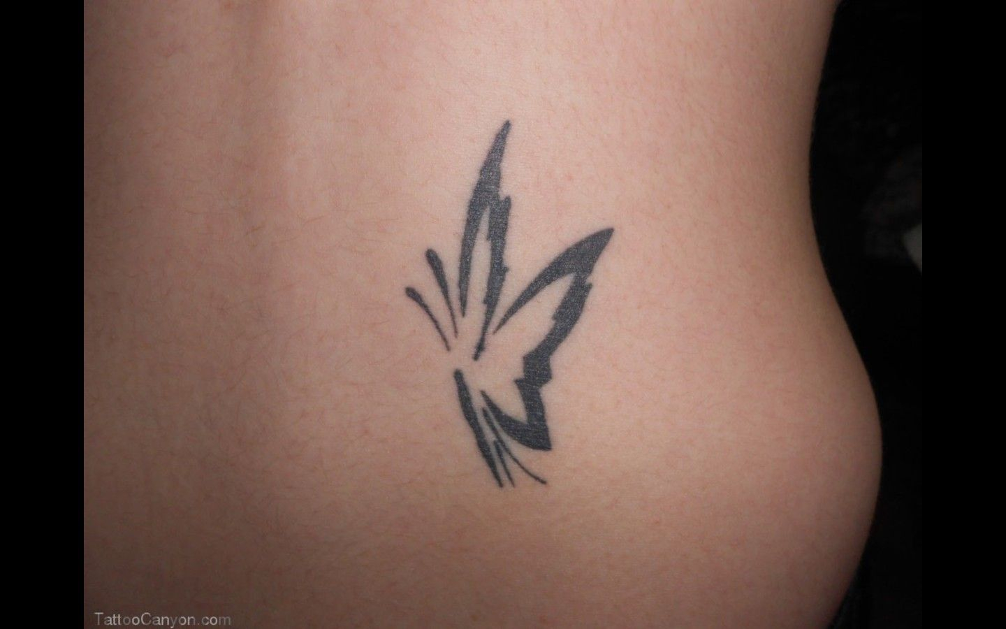 Simple Butterfly Tattoo 15718 Simple Black Butterfly Tattoos for proportions 1440 X 900