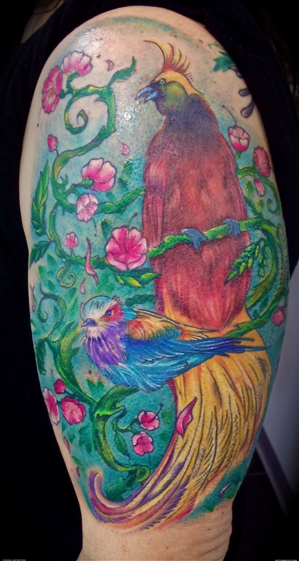Sleeve Bird Butterfly Images And Tattoos Bird Of Paradise pertaining to proportions 1231 X 2310