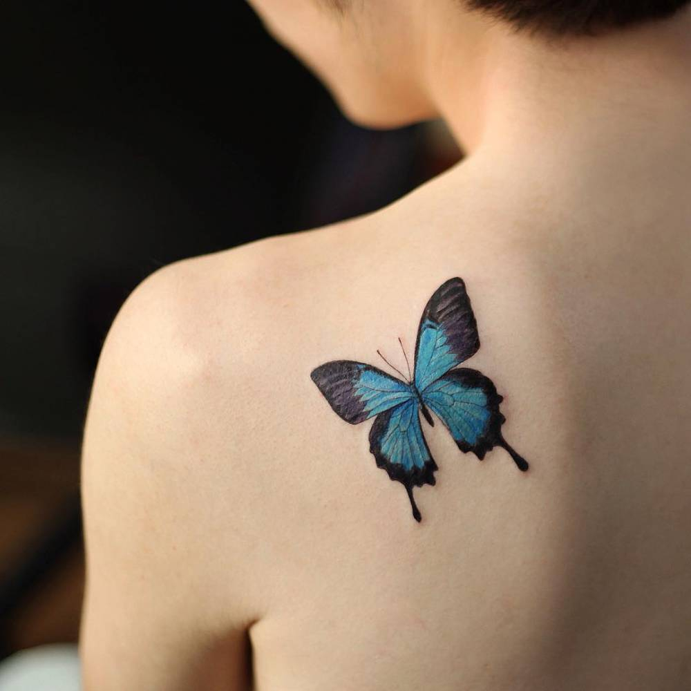 Small Blue Butterfly Tattoo On The Left Shoulder Blade with regard to measurements 1000 X 1000