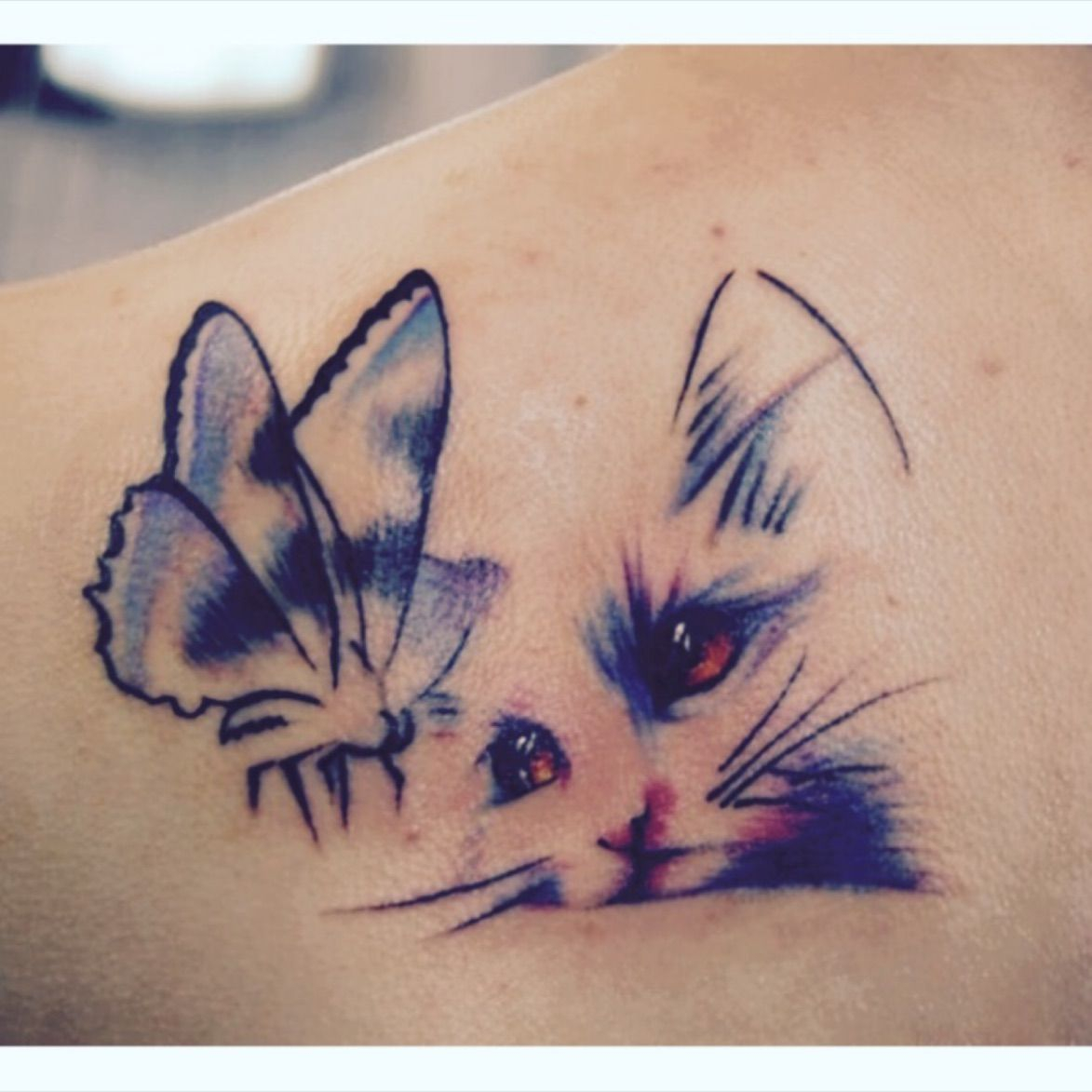So Sweet Cat Butterfly Tatted Cat Tattoo Designs Cat Tattoo pertaining to proportions 1173 X 1173