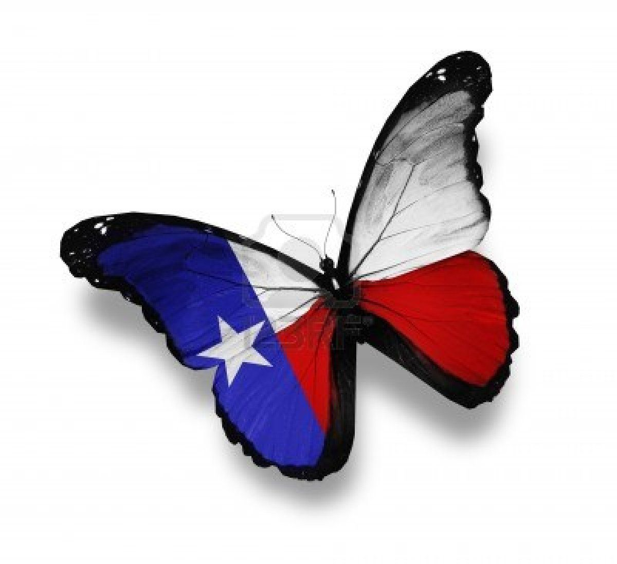 Stock Photo Tats Texas Tattoos Texas Flags Texas Flag Tattoo in proportions 1200 X 1098