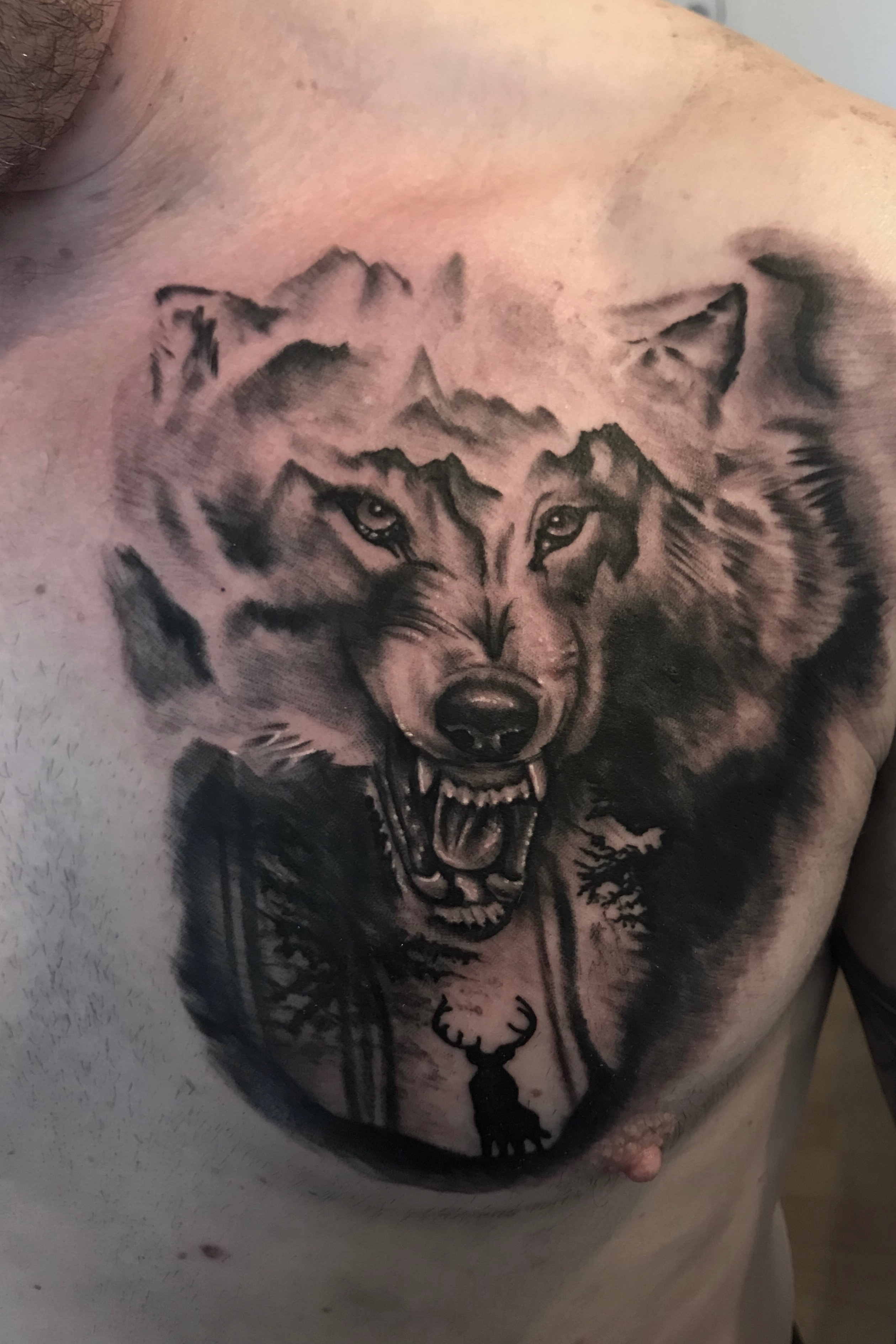 Tattoo Uploaded Danny Ortega Chest Wolf For Eamonn Wolf with measurements 2519 X 3777