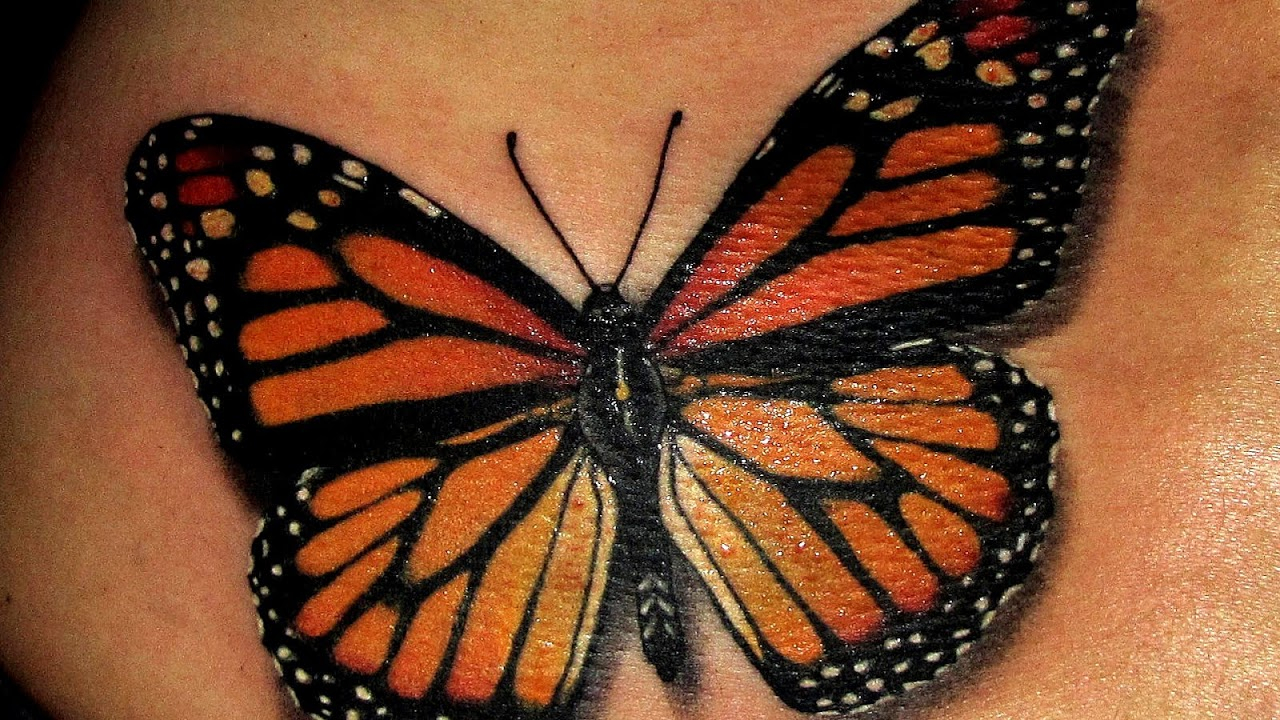 The Butterfly Tattoo Film Effect Effect Choices with regard to dimensions 1280 X 720