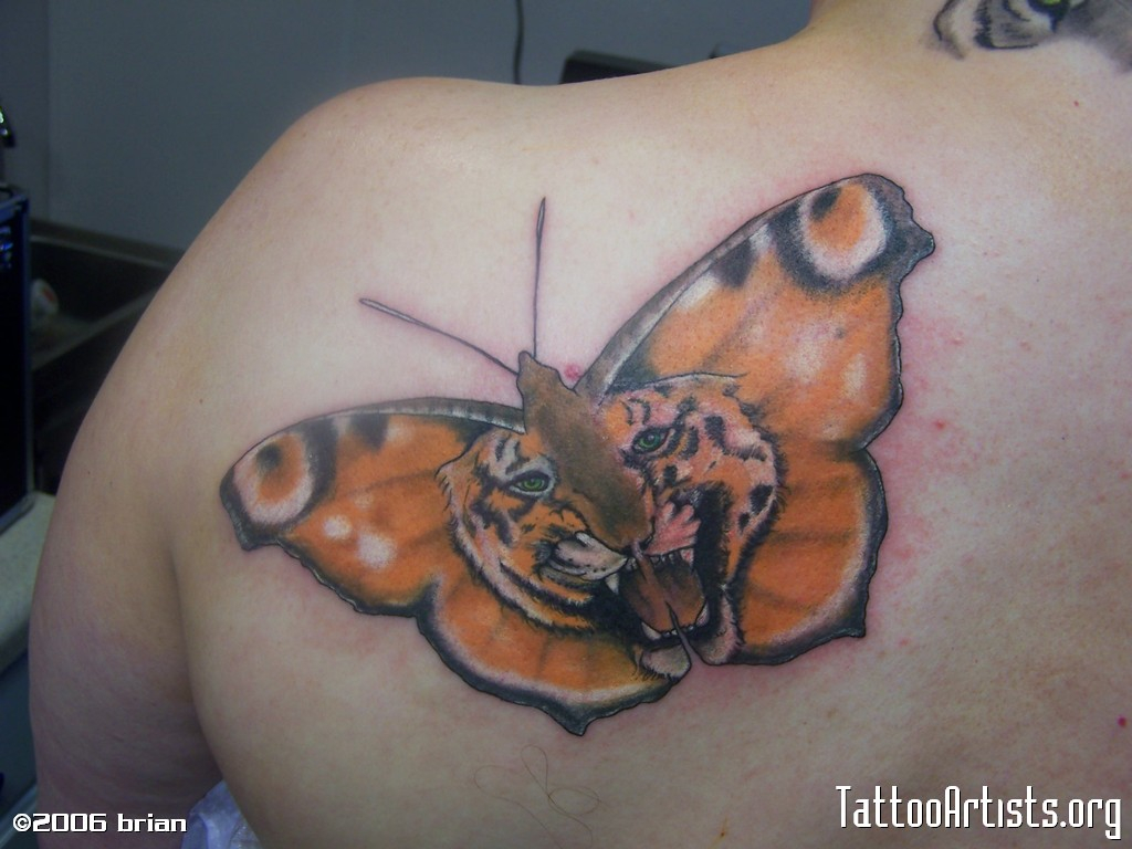 Tiger Butterfly Tattoo On Back Shoulder pertaining to measurements 1024 X 768