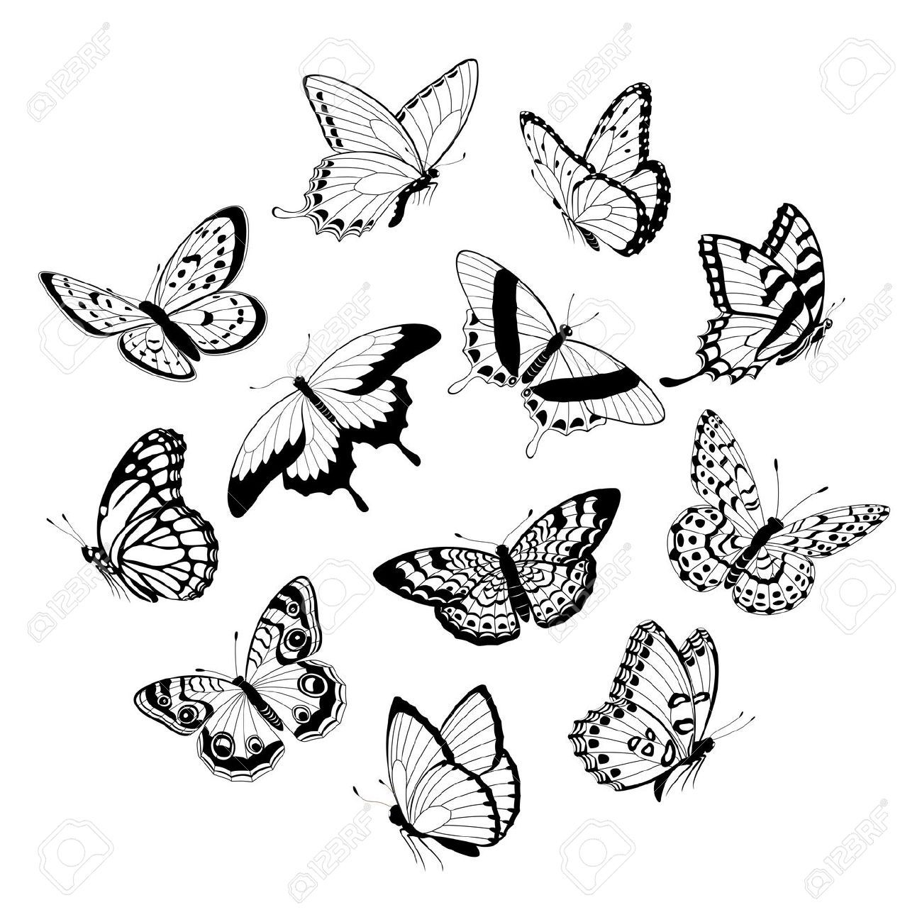 To Draw Butterfly Tattoo Butterfly Flying Butterfly Butterfly Trend for size 1300 X 1300