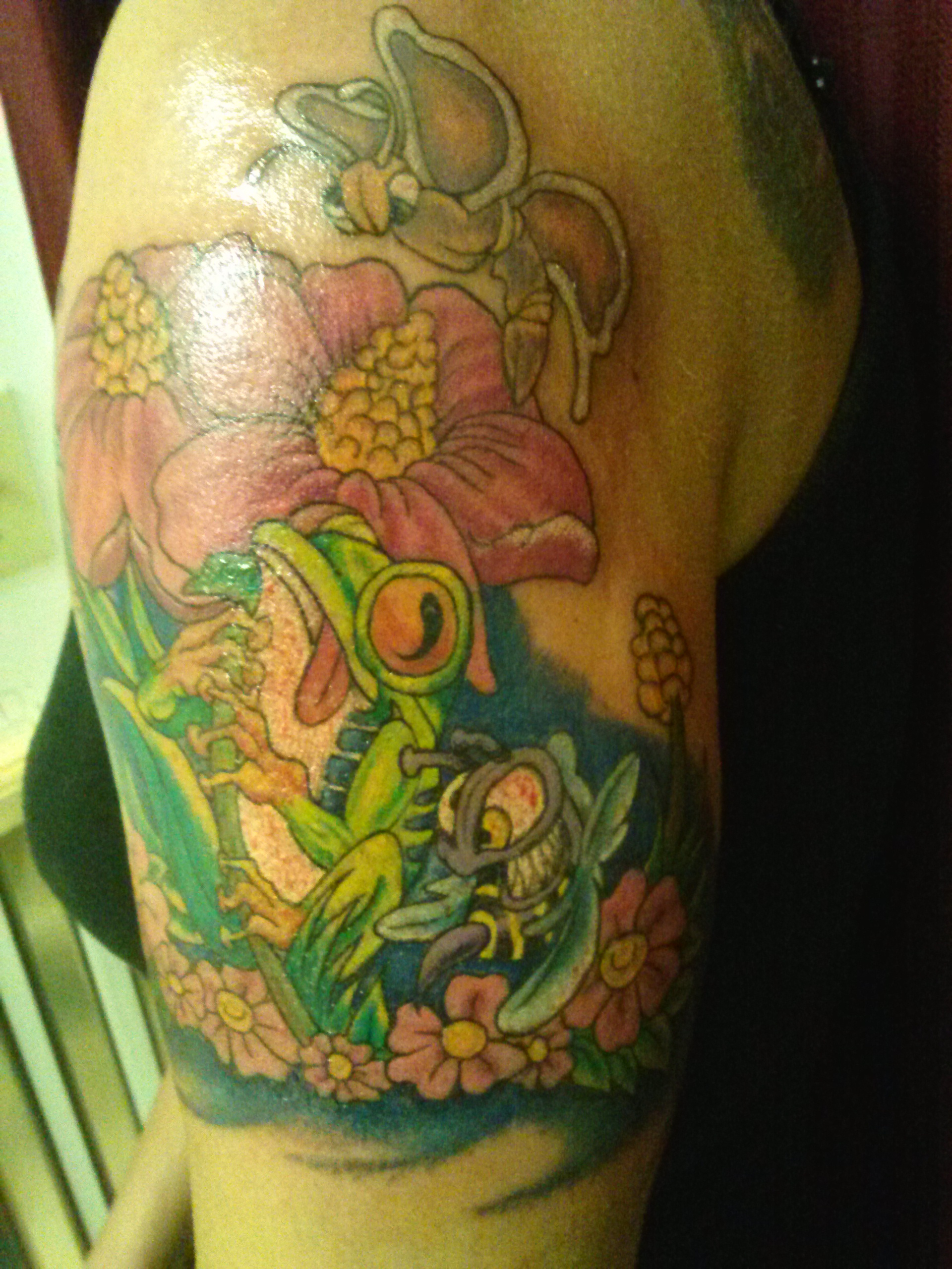 Tree Frog And Butterfly Tattoo within size 1920 X 2560