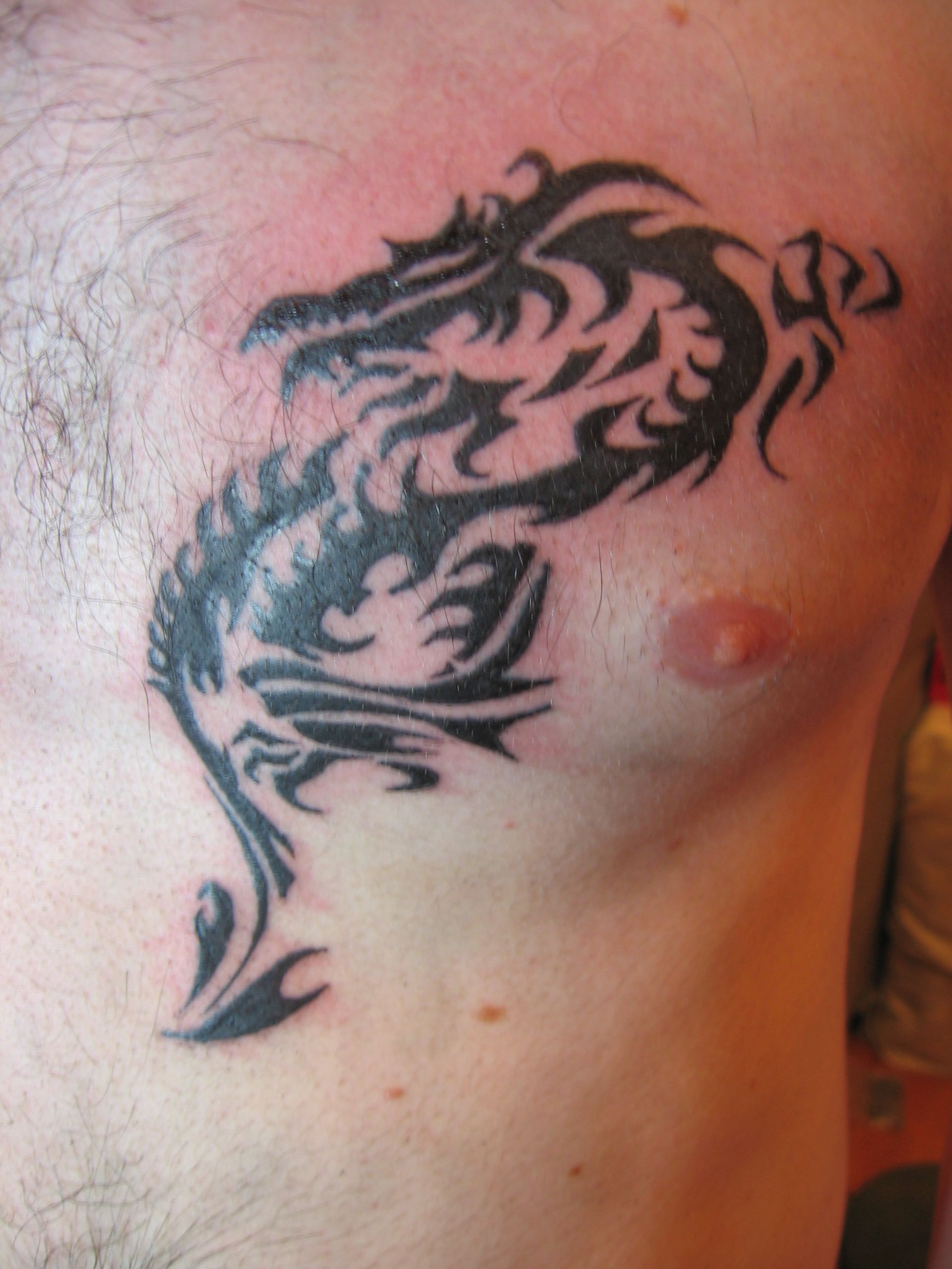Tribal Dragon Chest Tattoo Picture inside proportions 1920 X 2560