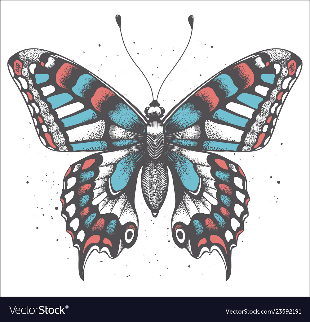 Tropica Butterfly With Shadow Tattoo Butterfly Vector Image pertaining to dimensions 1000 X 1037